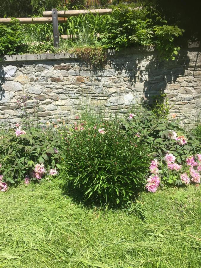 Villa Le Petit Saint Bernard Sainte-Foy-Tarentaise Esterno foto